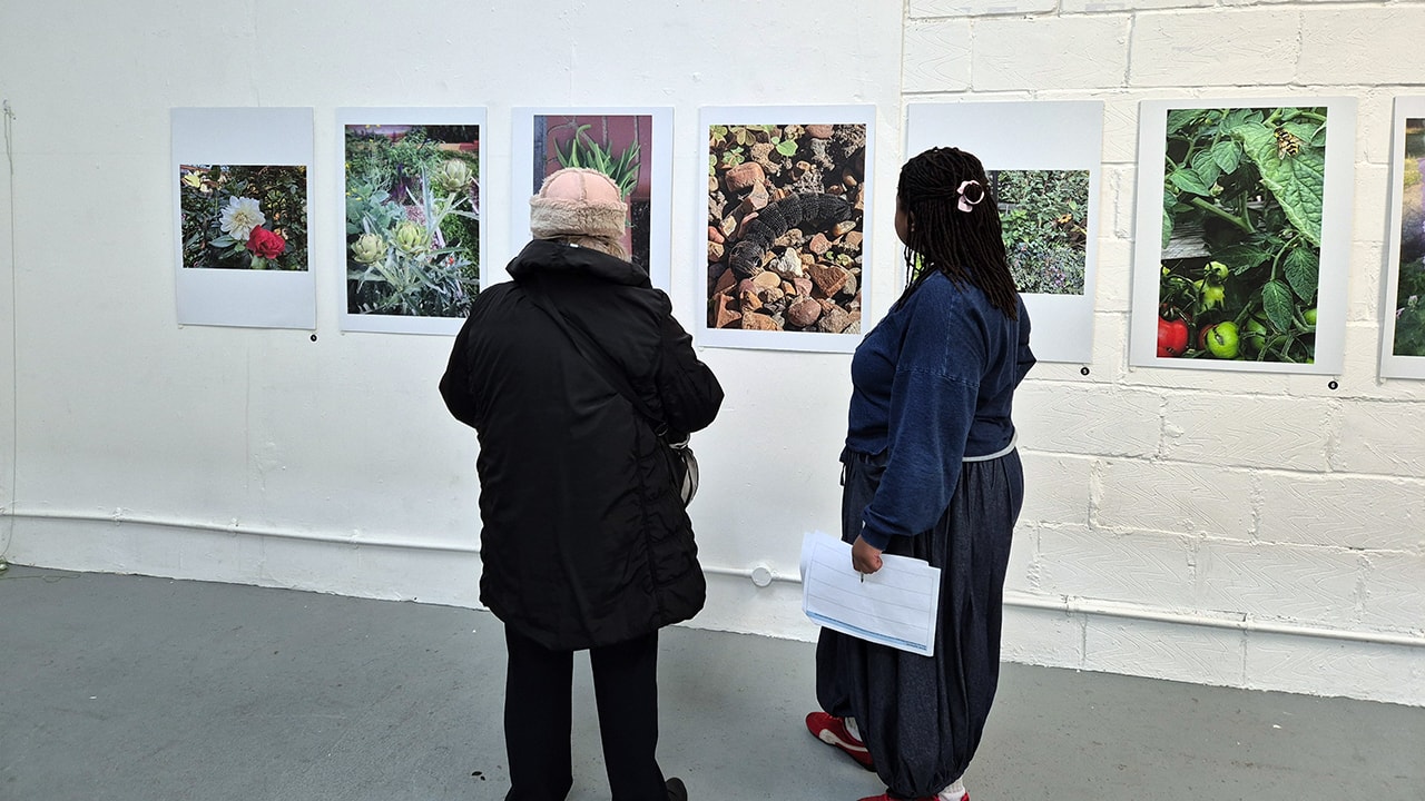 Two people looking at a display of photographs