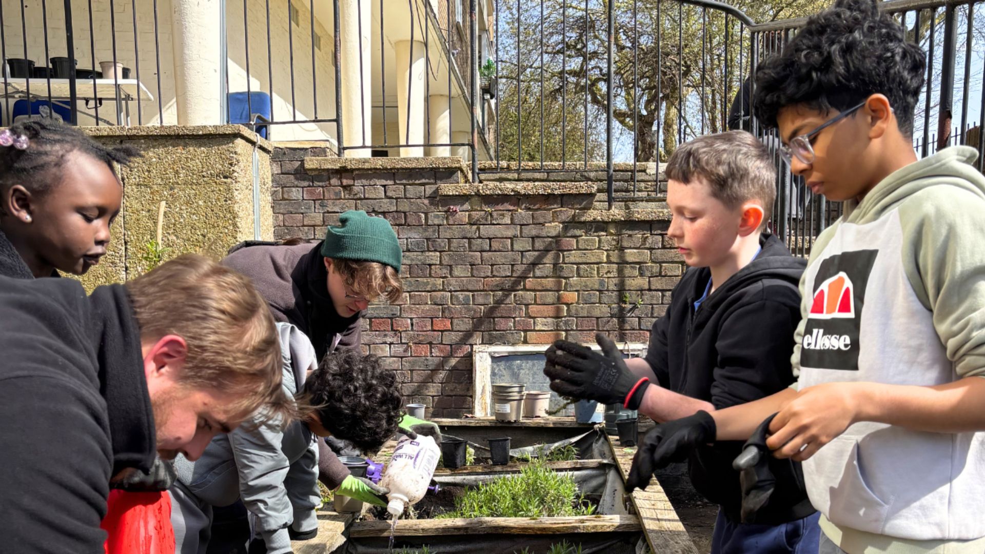 A group of young people planting seedlings together in raised garden beds in an outdoor community space.