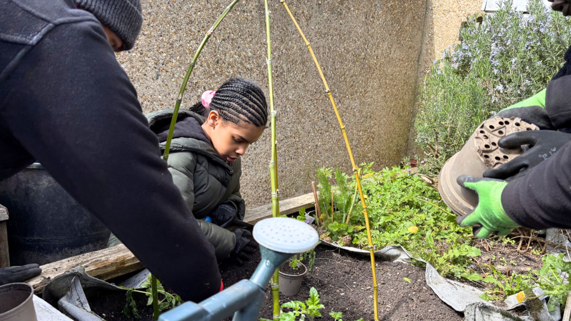 Child watering plants in a raised garden bed while others add soil and bricks to support growing plants.