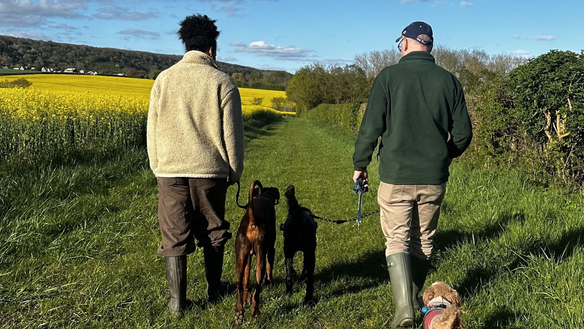 Two people walk along a grassy countryside path with three dogs on leads
