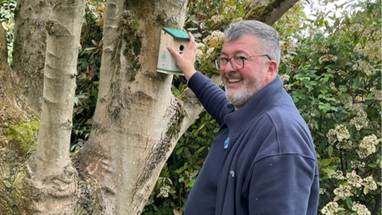 Person installing a birdhouse on a tree in a garden.