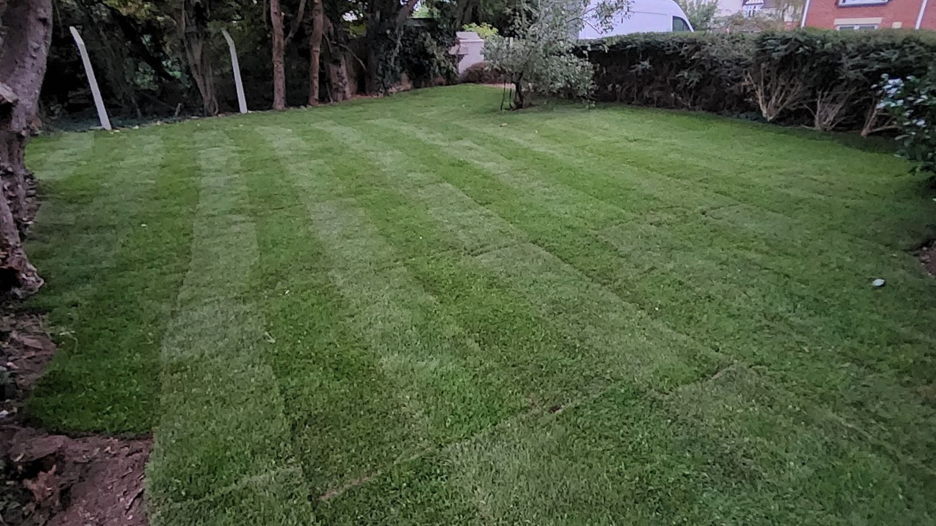 Freshly cut grass